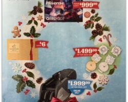 Costco Black Friday 2026 Sale Ad