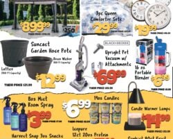 Big Lots Store Weekly Ad