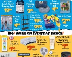 Big Lots Weekly Ad