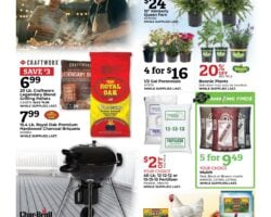 Buchheit Weekly Flyer
