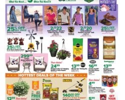 Bomgaars Weekly Flyer