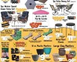 Big Lots Store Weekly Ad