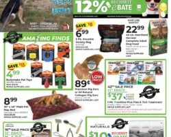 Buchheit Weekly Flyer