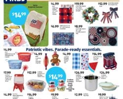Aldi In Store Ad