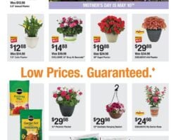 Home Depot Ad