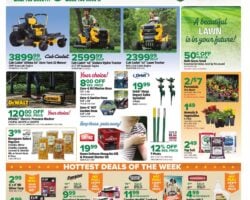 Bomgaars Weekly Ad