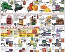 Key Food Weekly Circular