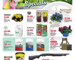 Runnings Weekly Flyer