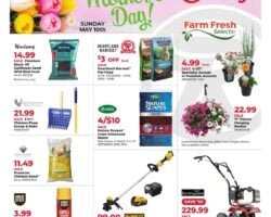 Runnings Weekly Flyer