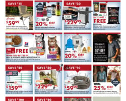 Coastal Weekly Flyer