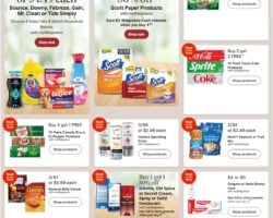Walgreens Ad Sale
