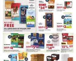 Coastal Weekly Ad Deals