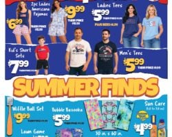 Big Lots Store Weekly Ad