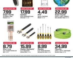 True Value Ad