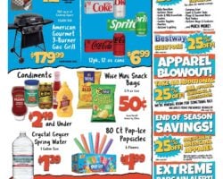 Big Lots Store Weekly Ad