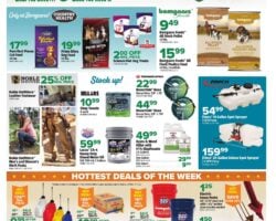 Bomgaars Weekly Ad