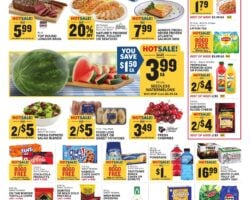 Food Lion Ad