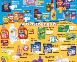 Big Lots Store Weekly Ad