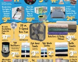 Big Lots Weekly Ad