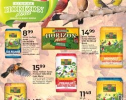 Buchheit Weekly Circular