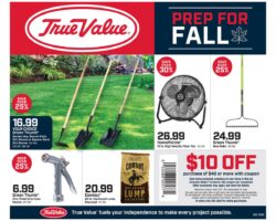 True Value Ad