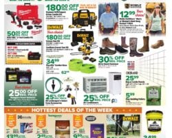 Bomgaars Weekly Flyer