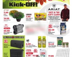 Runnings Weekly Ad