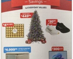 Costco Sale Ad