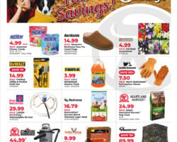 Runnings Weekly Flyer