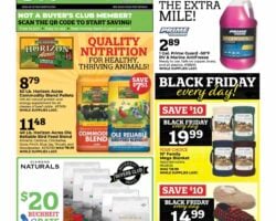 Buchheit Weekly Circular