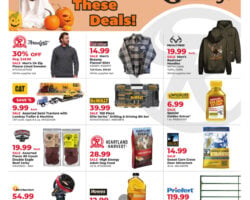 Runnings Weekly Ad