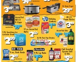 Big Lots Store Weekly Ad