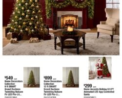 Home Depot Ad