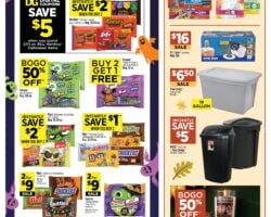 Dollar General Ad